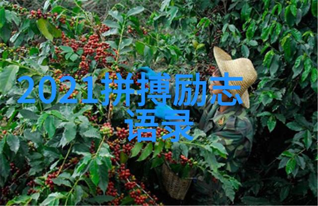 西湖到日重见梅钿皱